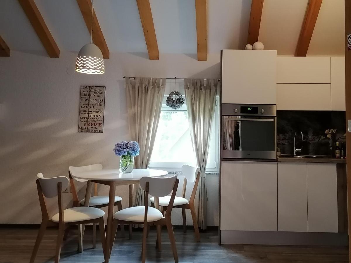 Apartment King Selište Drežničko Buitenkant foto