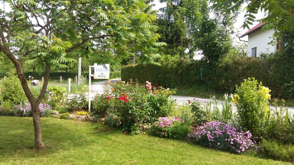 Apartment King Selište Drežničko Buitenkant foto